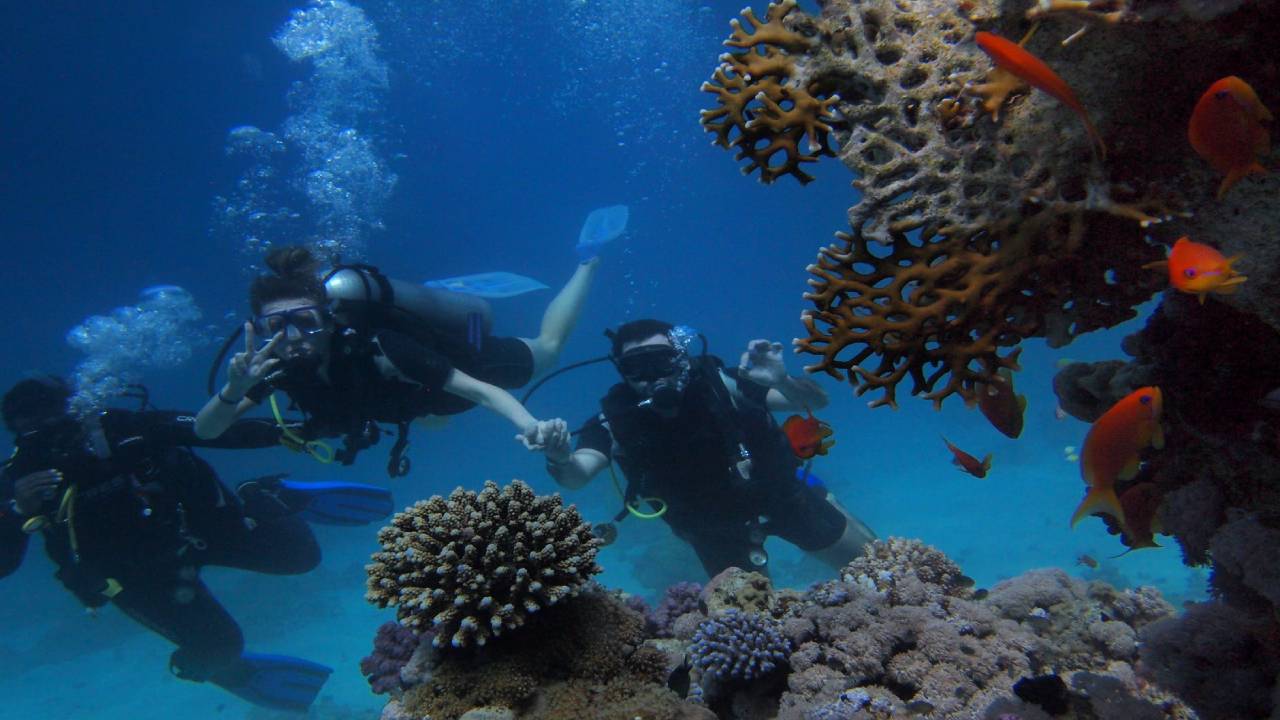 Duiken egypte - Scuba diving
